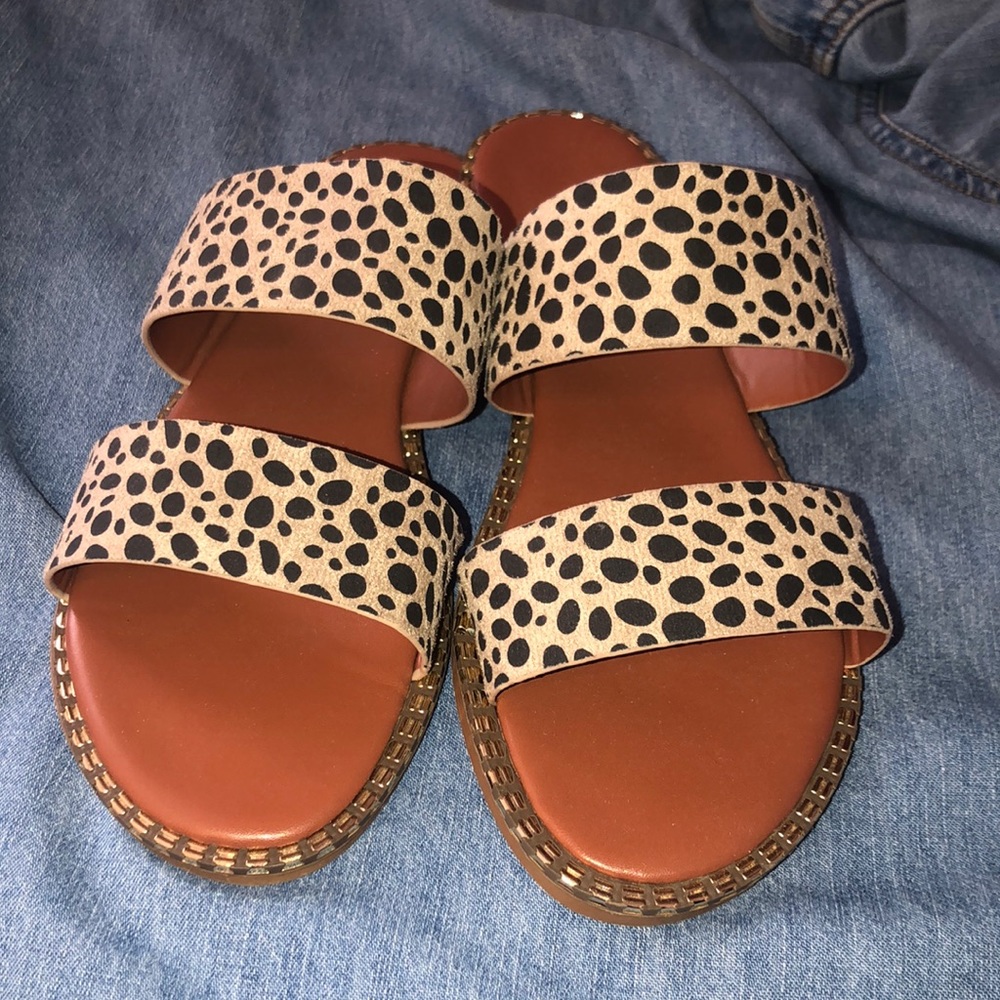 Leopard slides